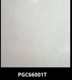 PGC 66001T