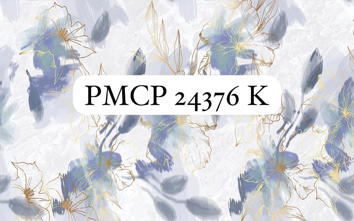 PMCP 24376K