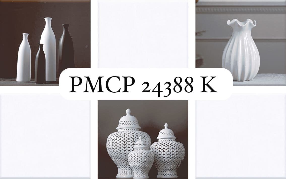 PMCP 24388K