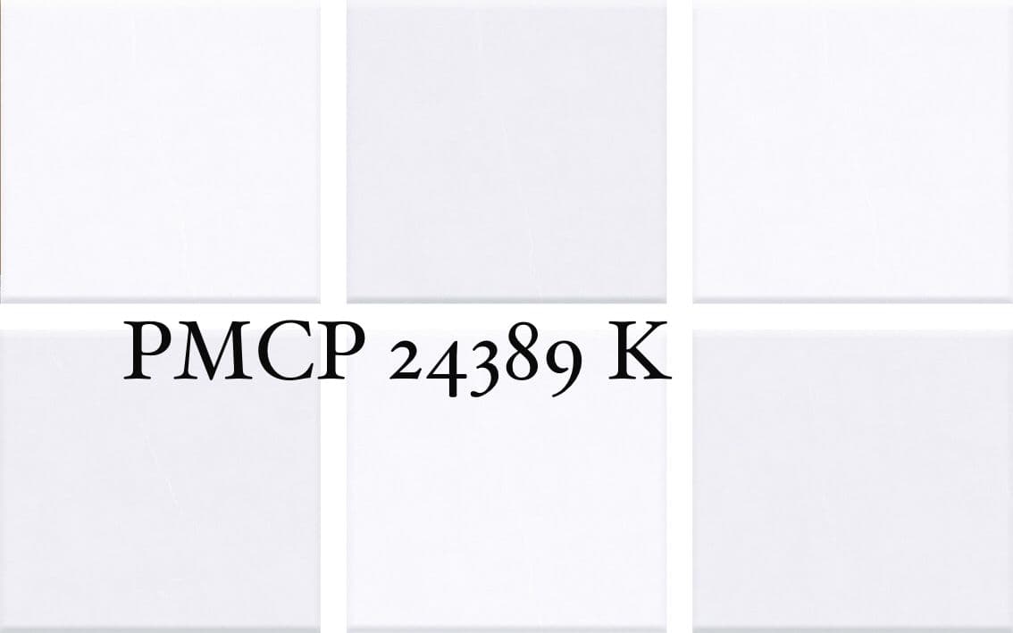 PMCP 24389K